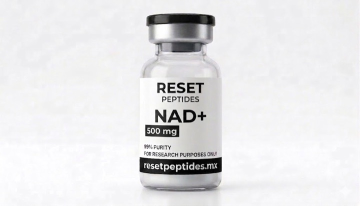 Vial de NAD+ 500 mg
